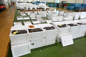 発泡スチロール製品値上げ相次ぐ　中東情勢悪化、製造コスト増　八戸の水産業界不安募らせ