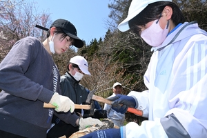 ２年後の収穫に期待膨らませ　九戸・児童がシイタケ植菌体験