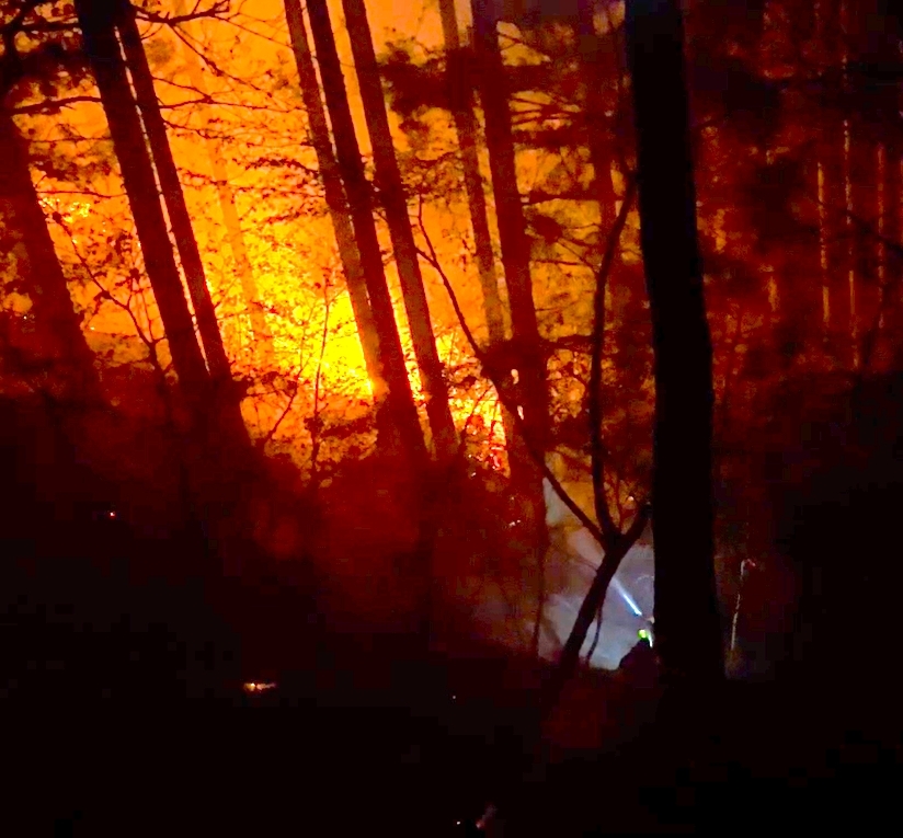 八戸ブロックの援助隊が活動した岩手県大槌町赤浜地区の山林火災=24日夜(八戸消防本部提供)