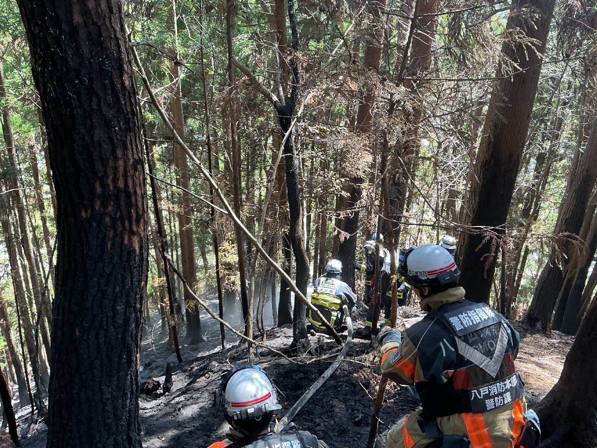 八戸ブロックの援助隊が活動した、岩手県大槌町赤浜地区の山林火災現場(八戸消防本部提供)