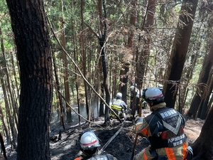 【岩手・大槌山林火災】数十メートル先に迫る火の手、終わり見えぬ延焼… 現地で活動、青森県援助隊が証言《📸×4》