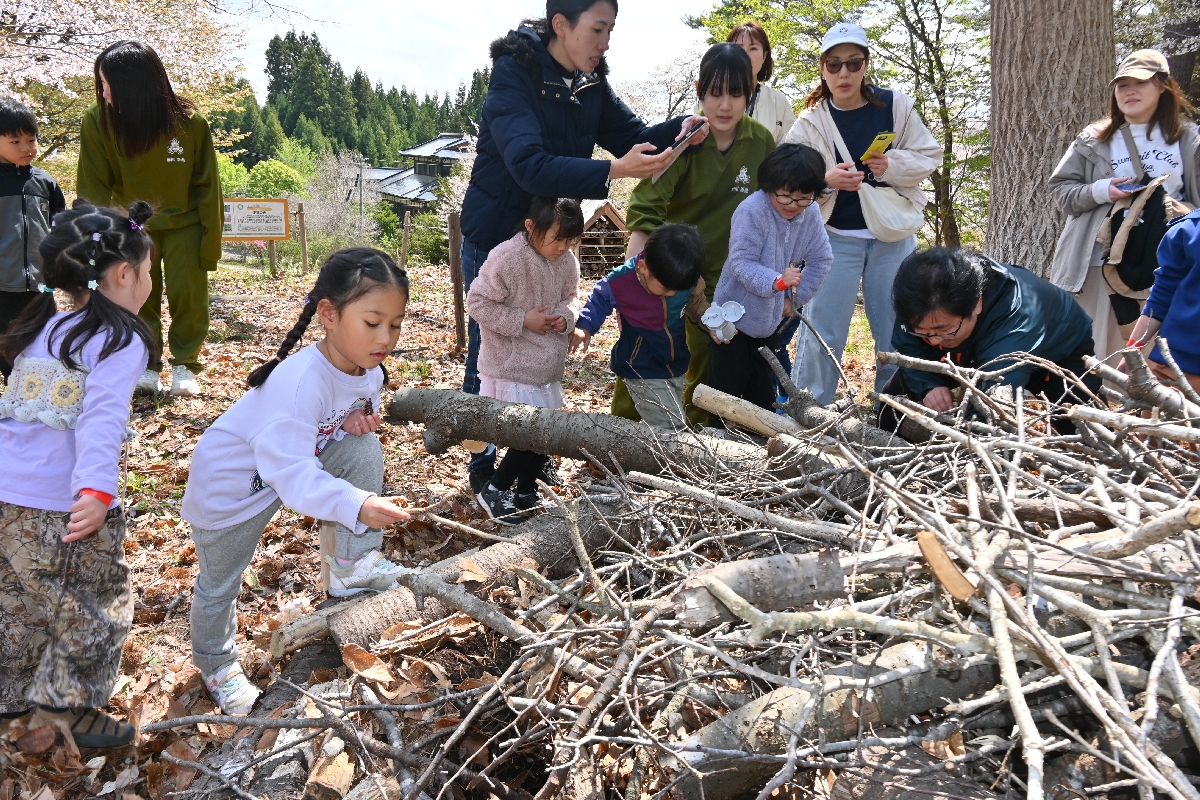 「カブトムシベッド」でカブトムシの幼虫を探す参加者