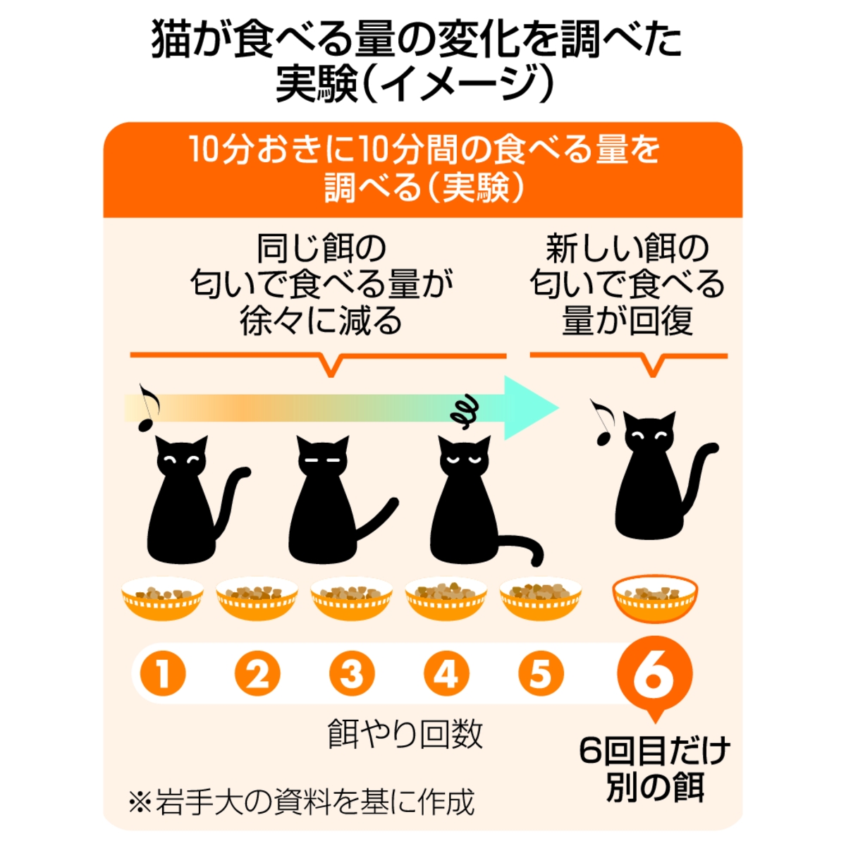 猫が食べる量の変化を調べた実験（イメージ）
