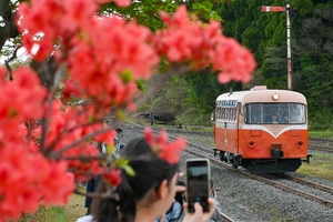全国の鉄道ファンら集結　七戸で旧南部縦貫レールバスイベント