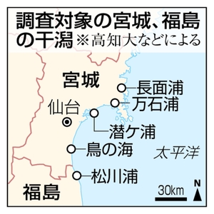 【東日本大震災15年】震災後の干潟、寄生虫は減 生態系未回復の可能性
