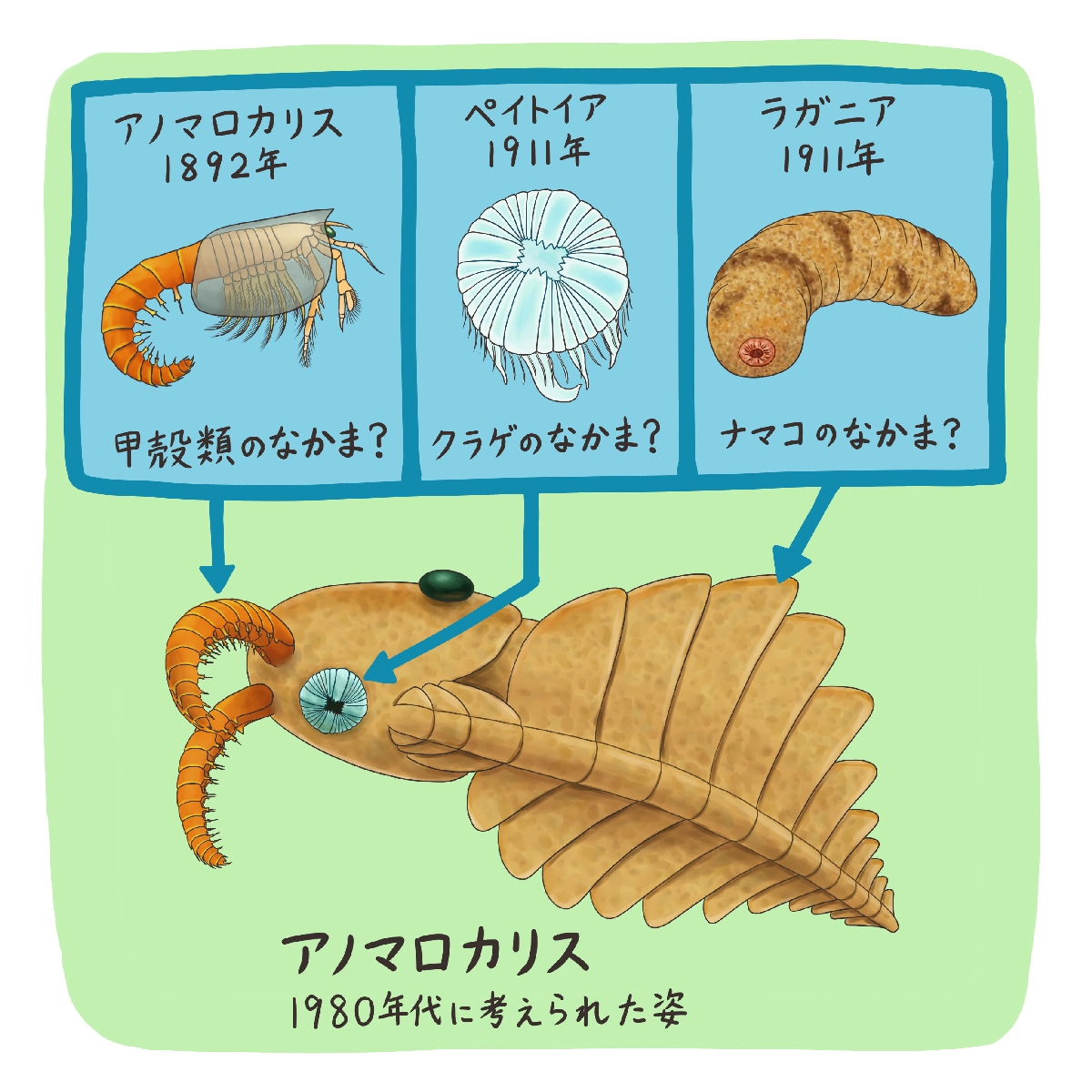 (c)迫野貴大