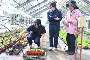 丹精込め育てた苗 三農恵拓高生が販売/十和田