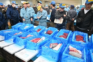 青森県沖漁獲の鯨肉を今季初販売 八戸市第2魚市場