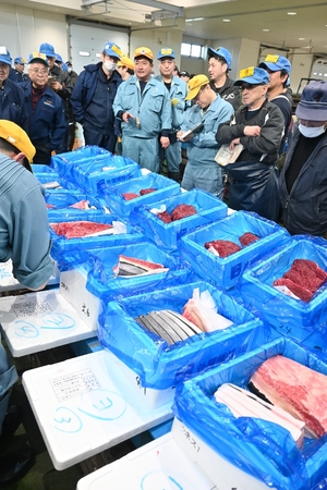 希少部位価格は例年並み 県沖で漁獲の鯨肉、今季初販売/八戸市第2魚市場