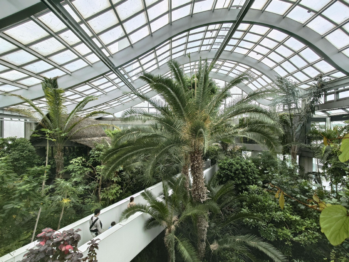 熱帯環境植物館の温室に生い茂る熱帯の植物=東京都板橋区
