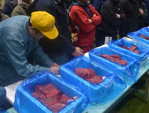 クジラ肉、症状の進行軽減か パーキンソン病新たな予防戦略に/岩手大・尾﨑准教授(八戸出身)が研究