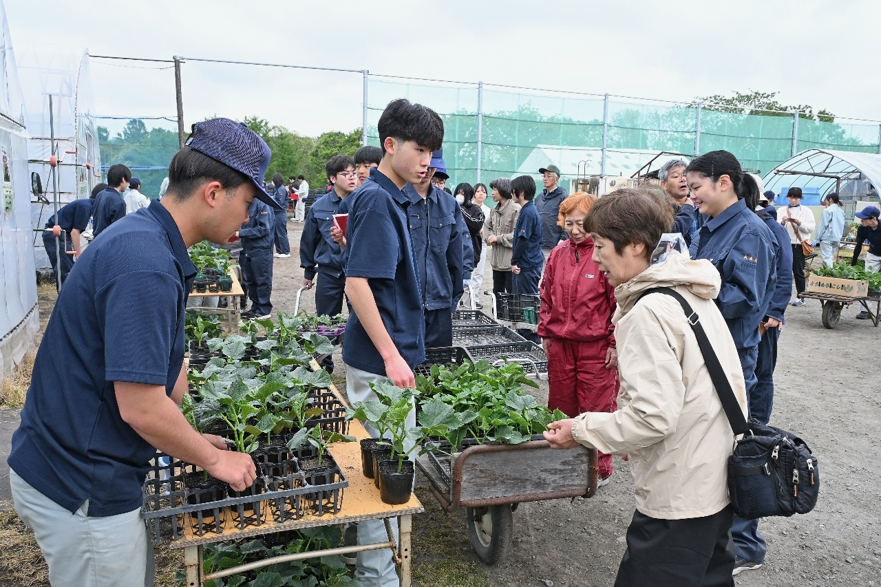生徒の手厚い接客を受けて野菜苗を多数買い求める住民