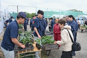 生徒が育てた野菜苗はいかが? 名久井農業高で販売、15日まで