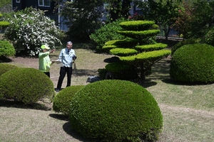 八戸南部氏庭園、春の一般公開始まる