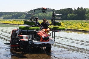 櫻田十和田市長が田植えの農家激励