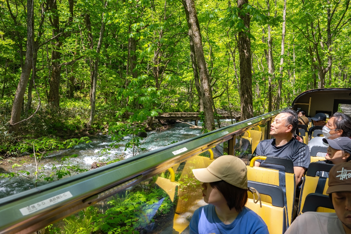 オープンバスで絶景楽しむ 奥入瀬渓流、ツアー開始/十和田