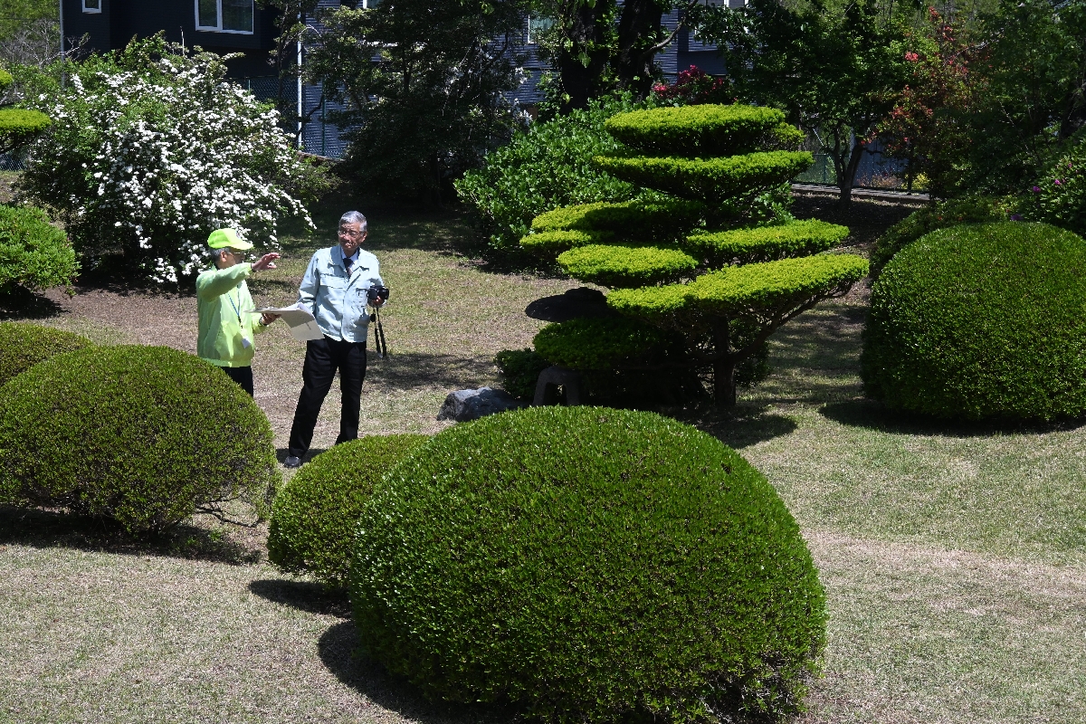 春の開園が始まった八戸南部氏庭園