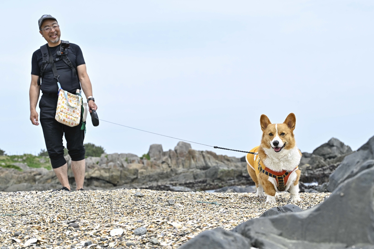 波打ち際で犬の散歩をする市民=19日、八戸市の種差海岸