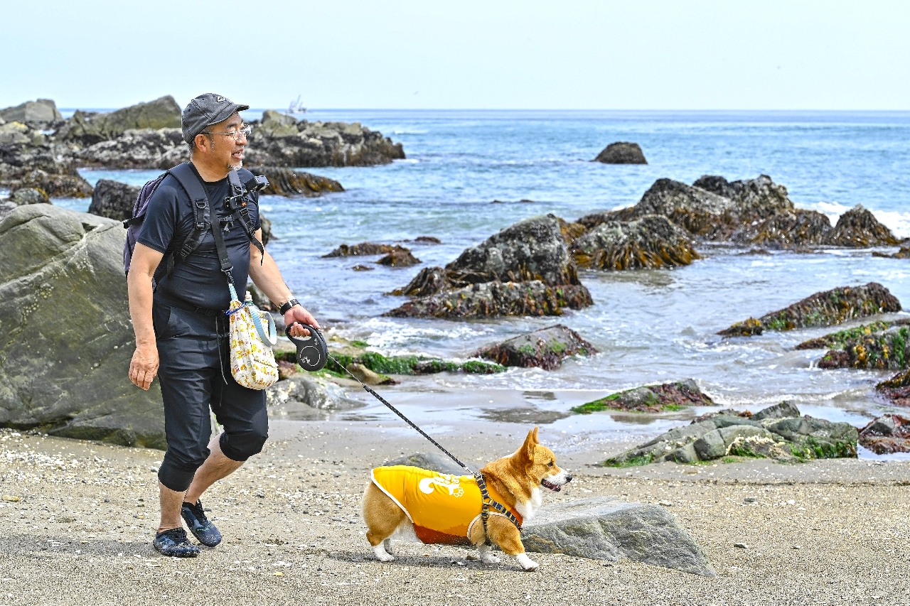 潮風に当たりながら犬の散歩をする市民=19日、八戸市の種差海岸