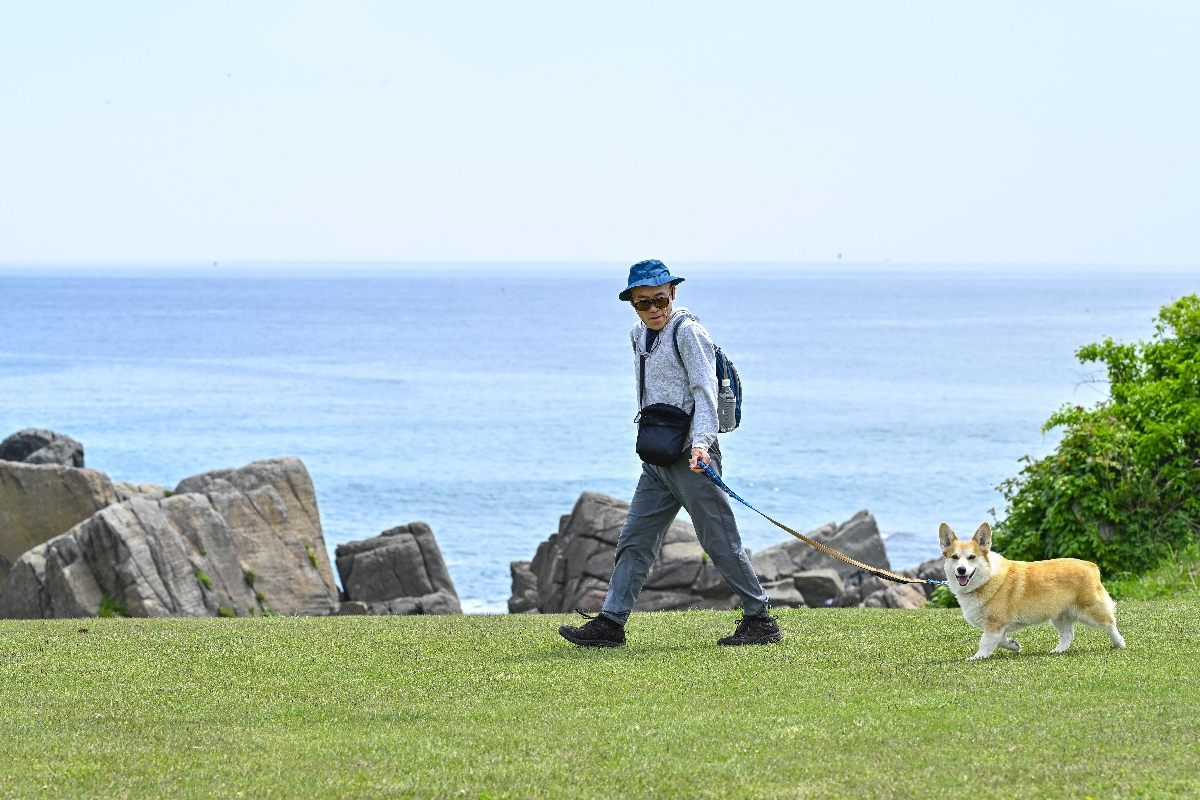 気温が上がる前の涼しい時間帯に犬の散歩をする市民=19日、八戸市の種差海岸