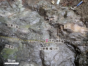 小惑星衝突示す地層を発見　北海道、大量絶滅の解明へ