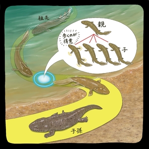 【古代のモンスター】進化って何? 世代を重ねだんだん変わる