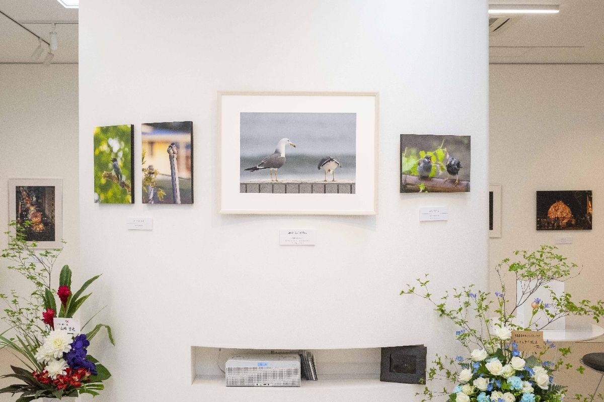 第42回日本の自然写真コンテストで全日本写真連盟賞を受賞した「海は空に空は海に」(中央)