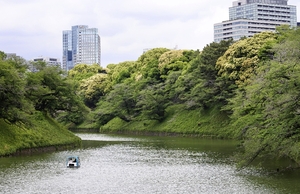 【Tokyo とことこ散歩】お堀でボート、平和祈る 都心のオアシス、千鳥ケ淵