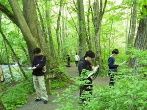 奥入瀬を探索、おすすめポイント紹介 自然体験学習プログラム始まる/十和田