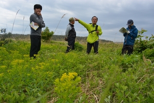 海浜植物を見て学ぼう　六ケ所村で植物観察会
