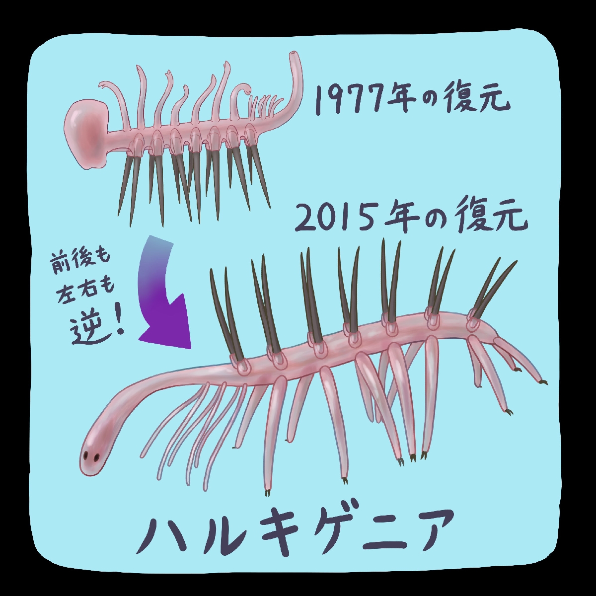 (c)迫野貴大