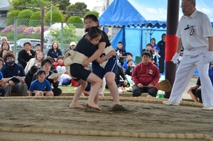 小学生48人が実力競う わんぱく相撲青森ブロック大会/八戸