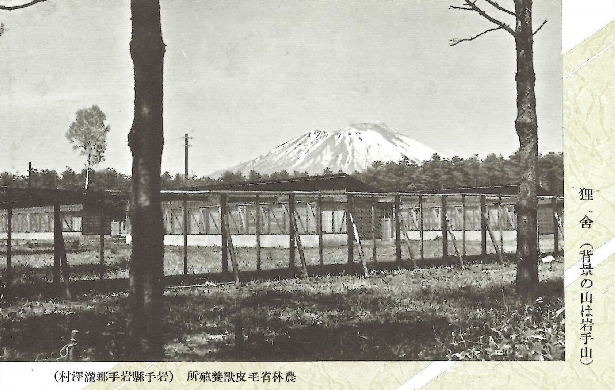 現在の岩手県滝沢市にあった「農林省毛皮獣養殖所」(北條勝貴教授提供)