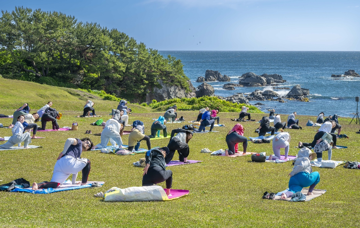 種差天然芝生地で朝ヨガを楽しむ参加者
