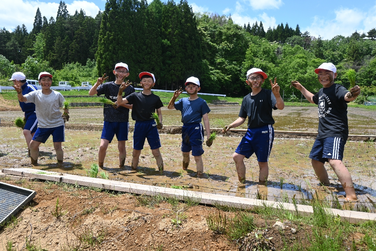 青空の下、元気いっぱいに田植えした野田小5年生