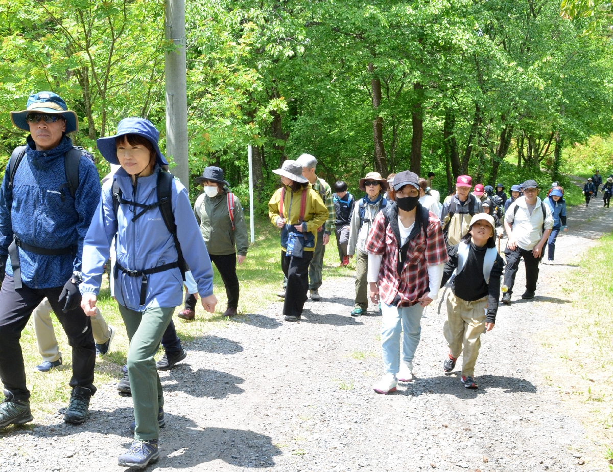 ハイキングを楽しむ登山客