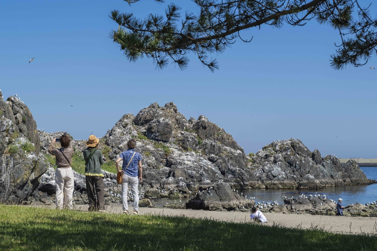 浜辺を散策する観光客=1日、八戸市の蕪島