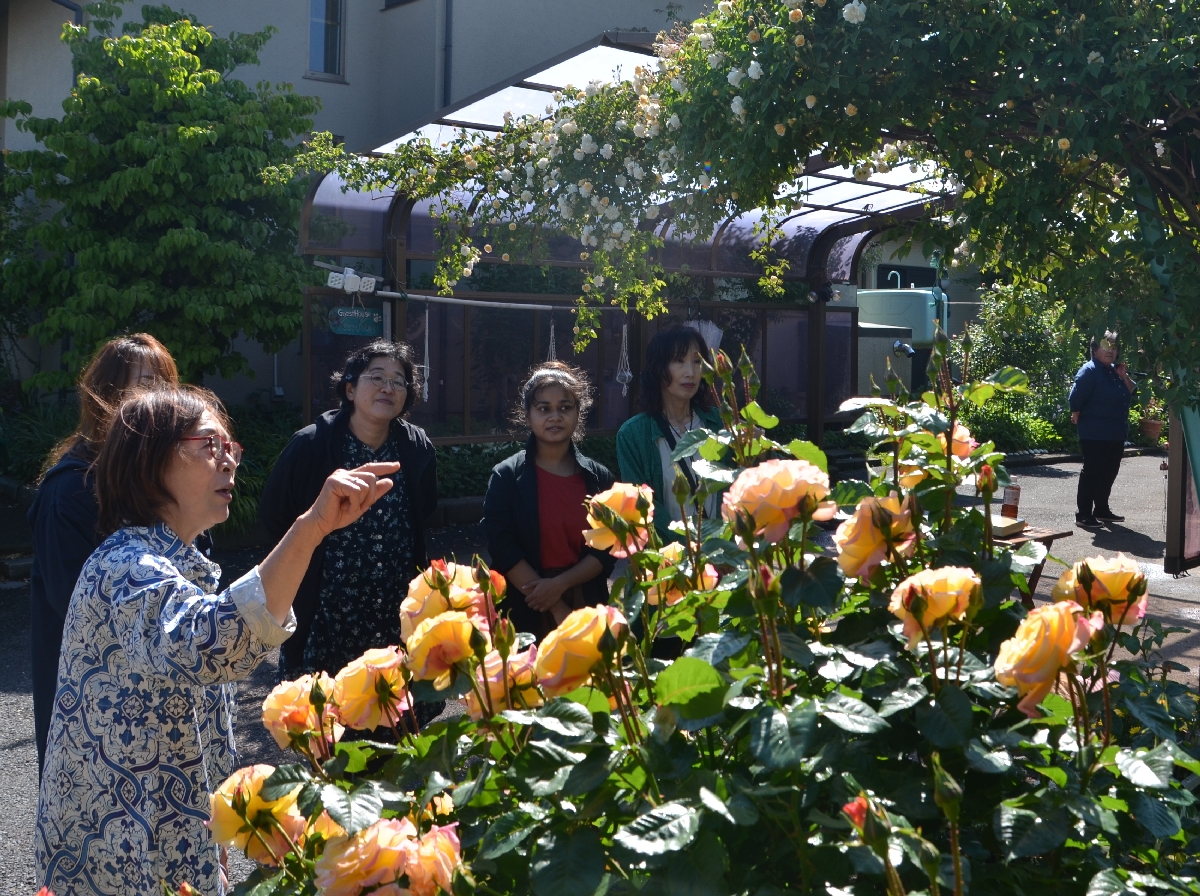 品種ごとにバラを案内する佐藤久美子さん(手前)