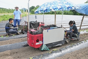 サツマイモ植え付け2年目、収穫1・5倍目標 保管庫整備へCF活用/三戸進出の都内農業ベンチャー