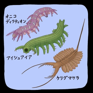 【古代のモンスター】葉足動物いろいろ 子孫は今でも活躍