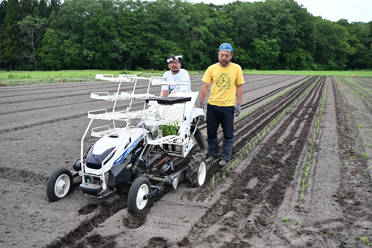 新たに導入した定植機で作付けを行う中平将義さん（左）＝４日、新郷村