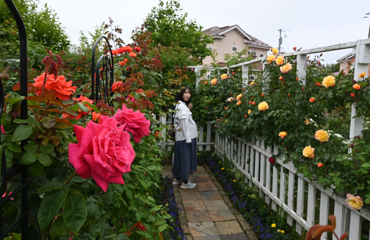 バラなど色鮮やかな花が咲く園内