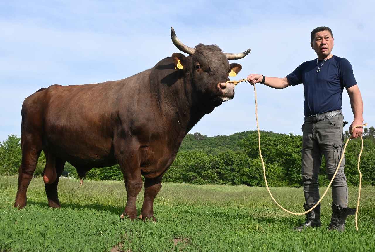重さ1トン超の平庭横綱「二代柿乃花マシンガン」。サミット記念大会の千秋楽に向けて気合十分だ=2日、久慈市