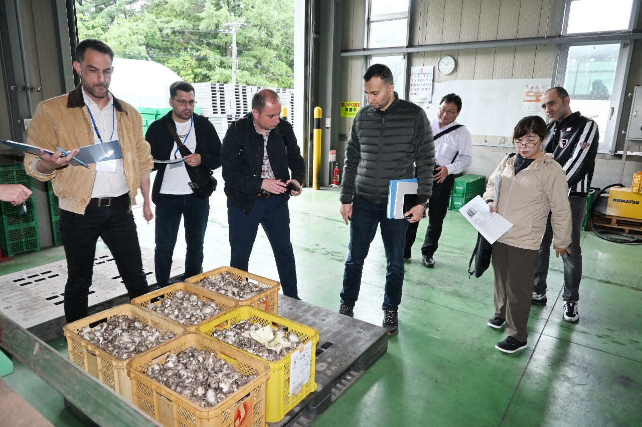 CA冷蔵庫で生ニンニクを確認するトルコ政府職員ら=8日、田子町