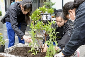 「明るい気持ちになってほしい」　八戸市中心街で「寄せ植え大作戦」