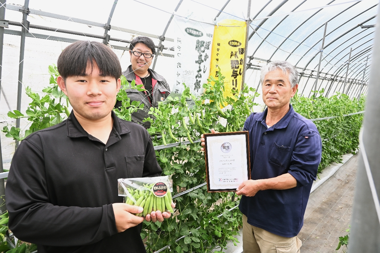 川市さん(三戸)のスナップエンドウ 品評会で銀賞に 野菜ソムリエサミット