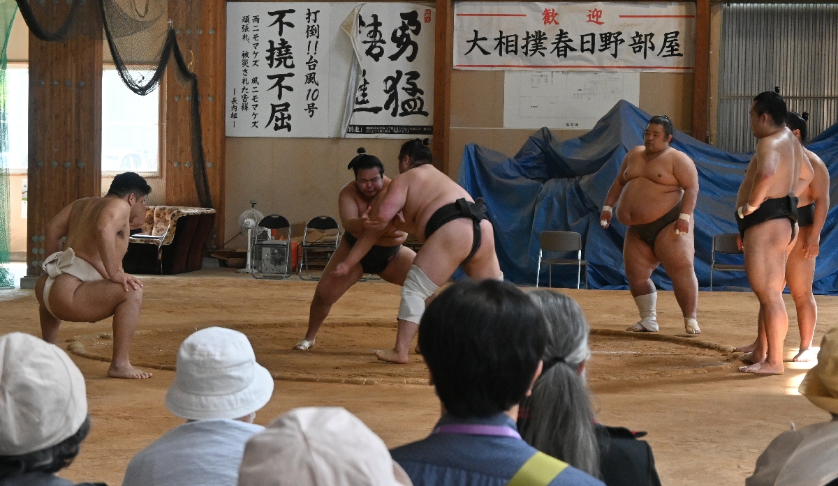 一般公開されている春日野部屋の朝稽古＝１２日、久慈市