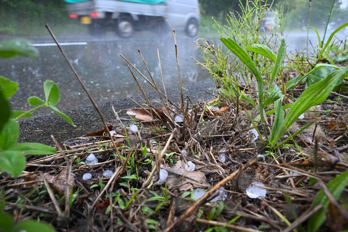雷の音と共に降ってきたひょう=12日午後2時45分ごろ、十和田市法量