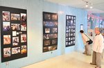 陸奥湾のイルカ、館鼻岸壁朝市も　八戸写真研究会が「夏の写真展」【写真ピックアップ付】
