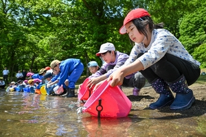 ヒメマス「大きくなってね」　十和田湖に児童ら稚魚３４万匹放流